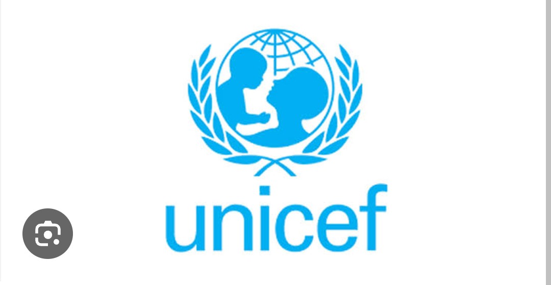 UNICEF, Katsina State Empower 800 Out-of-School Adolescent Girls