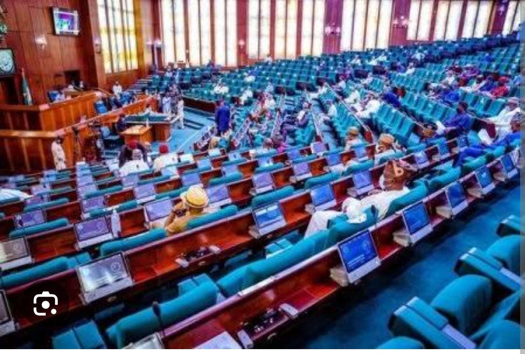 Nigerian House Committee Uncovers Federal Polytechnic Where Staff Outnumber Students